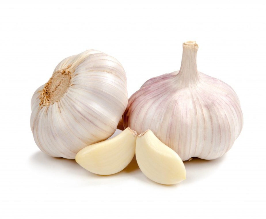 garlic-1024x846